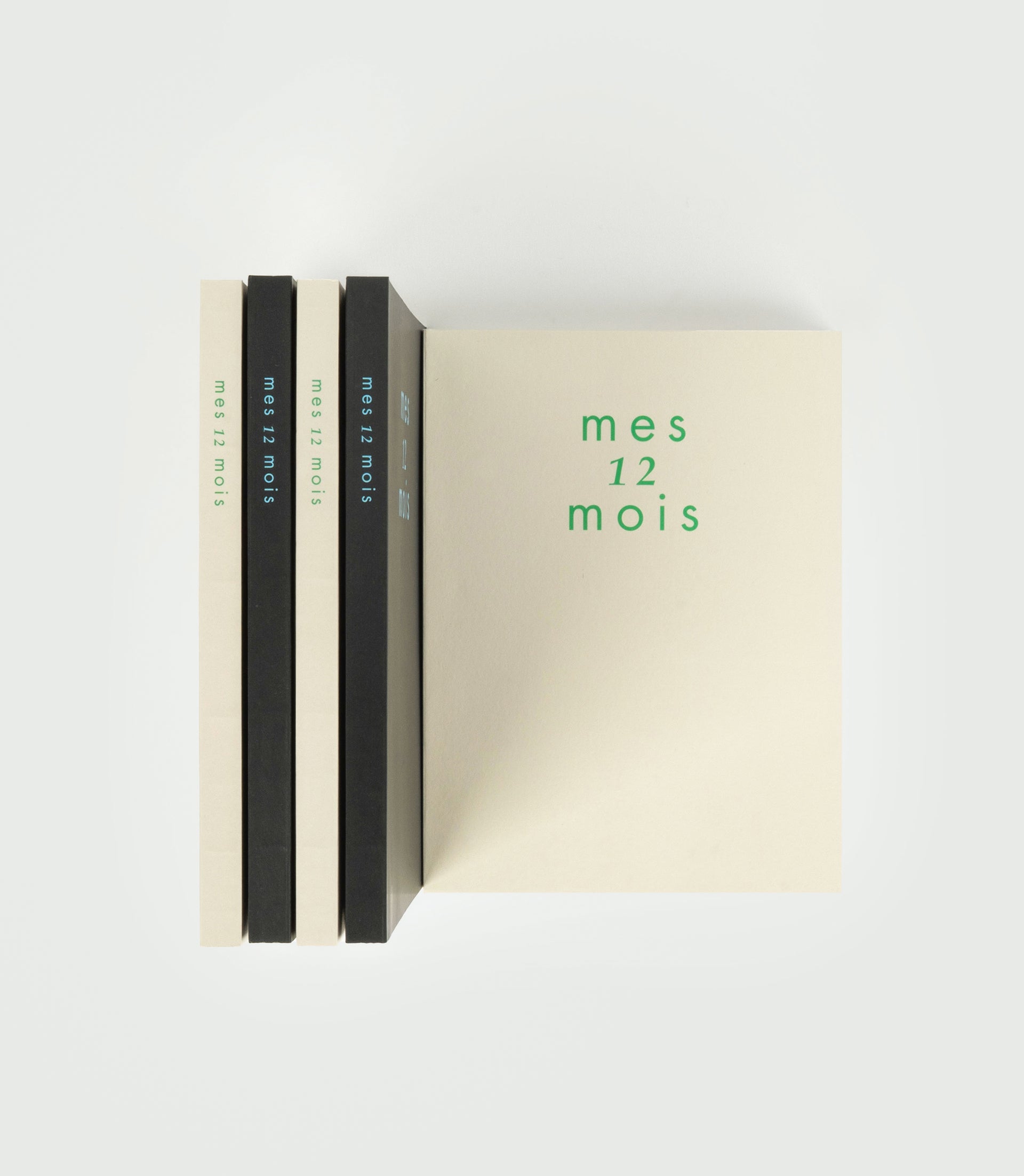 [Diary] mes 12 mois_11