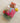 twenty,twenty seven_2027_mini